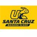 SDS_UCSantaCruz_UCSlug_BananaSlugs_YellowGround_200